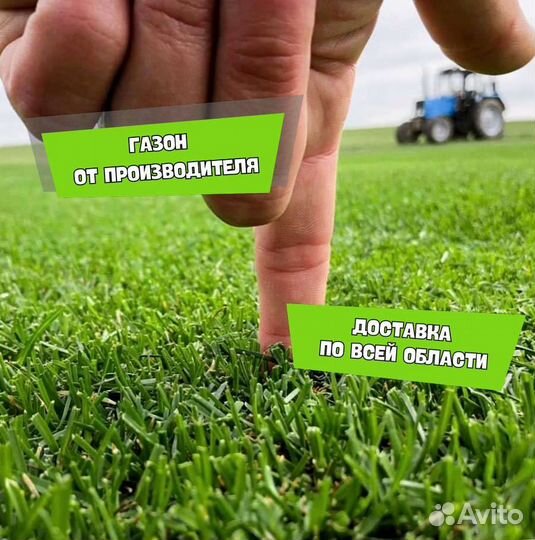 Газон. Рулонный газон