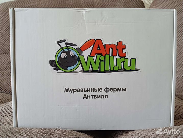 Муравьиная ферма AntWill
