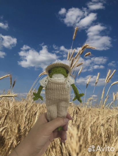 Лягушонок из pinterest