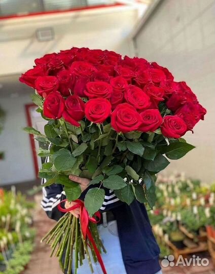 Высокие Розы Гиганты Доставка Круглосуточно