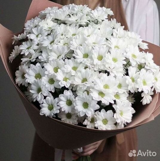 Хризантема Доставка цветов Букеты