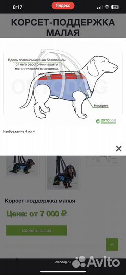 Корсет для собак