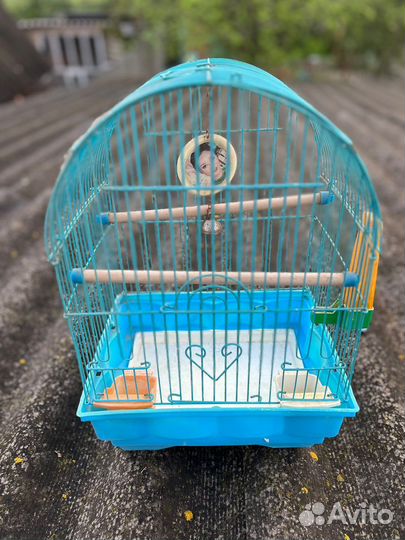 Клетки для попугая