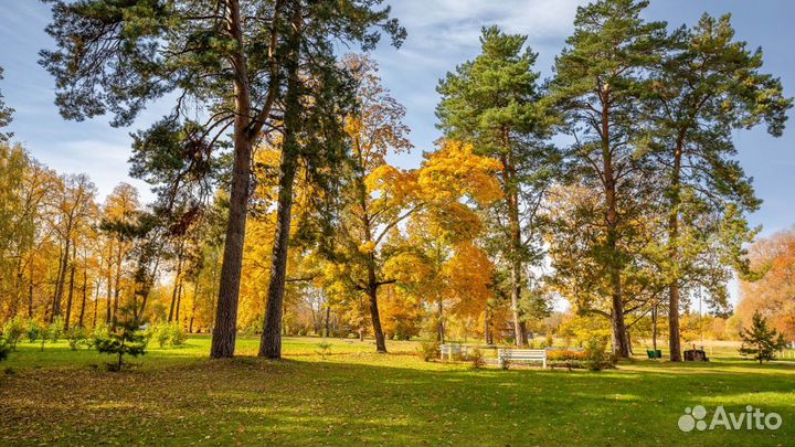 В мире литературных героев «Повестей Белкина» (эм