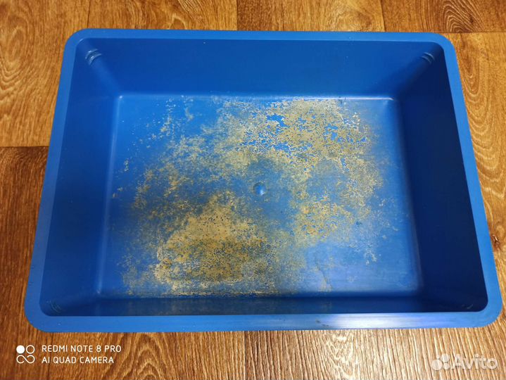 Шлейка и лоток для кошки или маленькой собачки