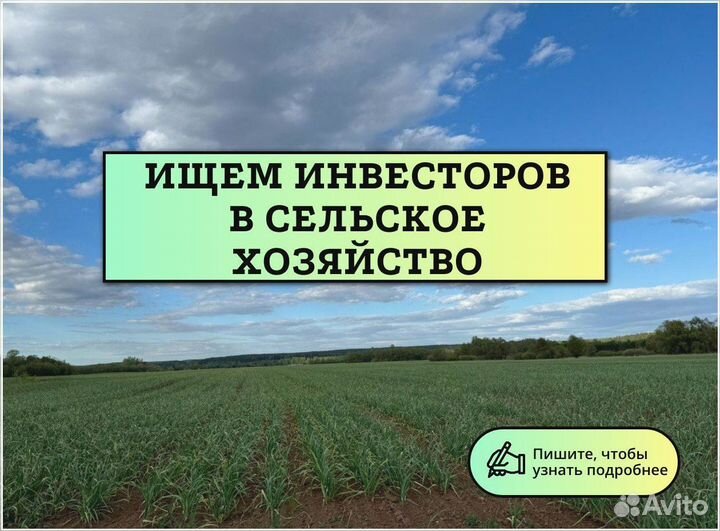 Инвестиции под высокий процент