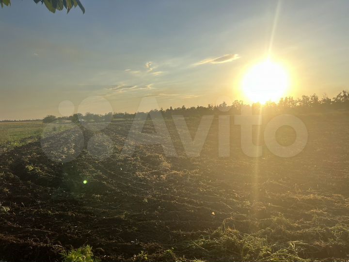 Участок 49 сот. (ИЖС)