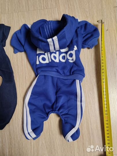 Одежда для маленькой собаки