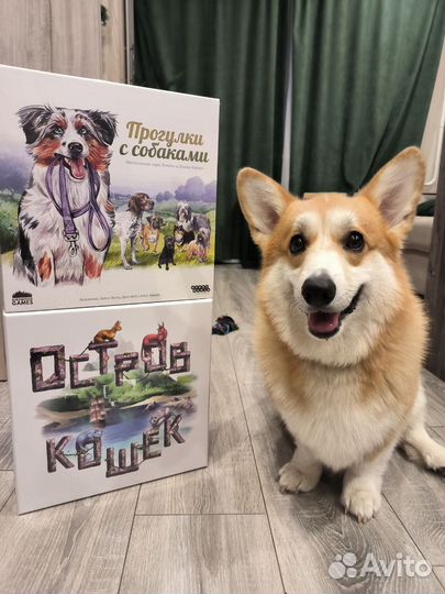 Семейные настольные игры