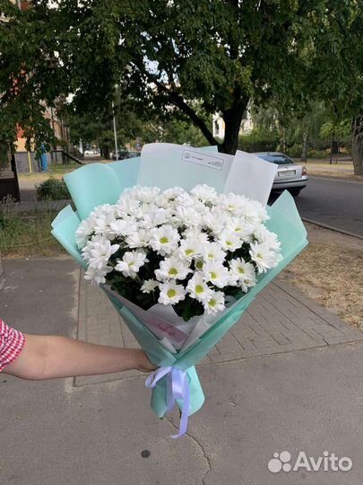 Букет хризантем Доставка цветов