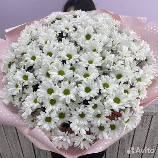 Букет из 25 кустовых хризантем Доставка Ноябрьск