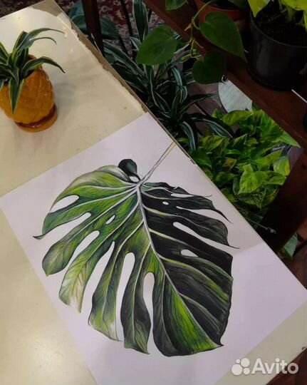 Авторский ботанический постер