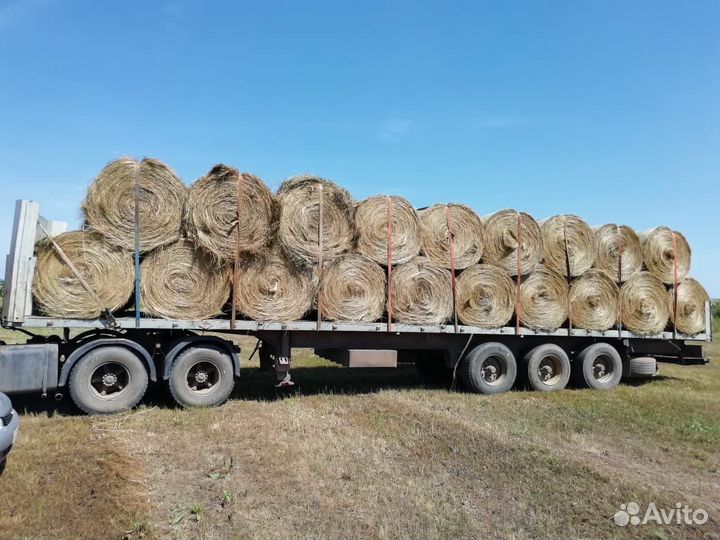 Сено в рулонах и тюках