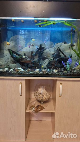 Аквариум