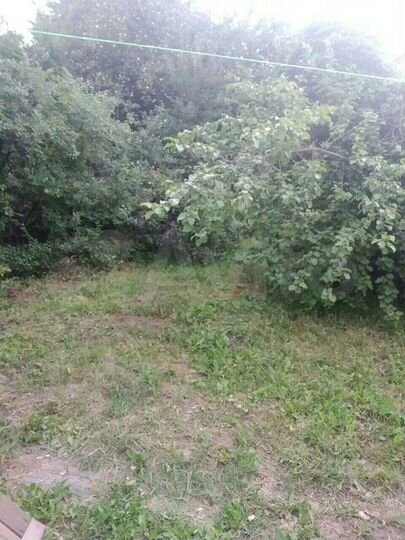 Участок 10,7 сот. (ИЖС)