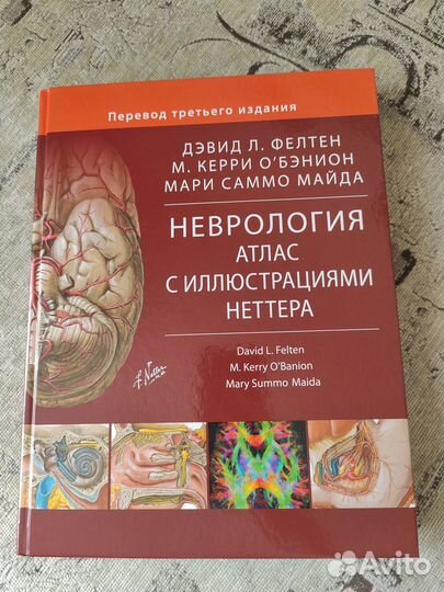 Неврология Атлас с иллюстрациями Неттера