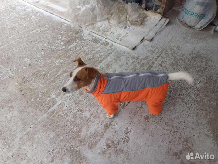 Комбинезон зимний новый для собаки р.16