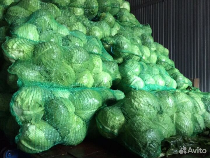 Овощи оптом из 1-вых рук