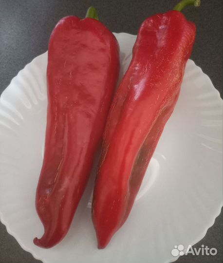 Семена сладкого перца