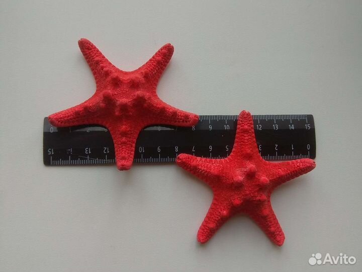 Морская звезда