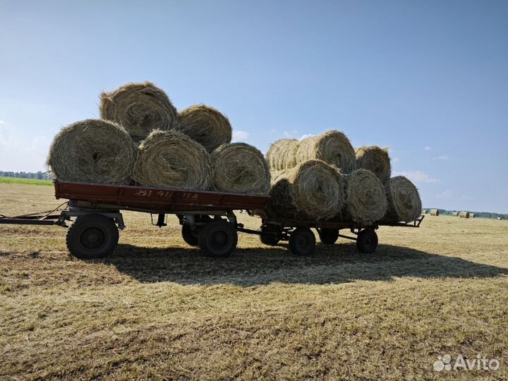 Сено в рулонах