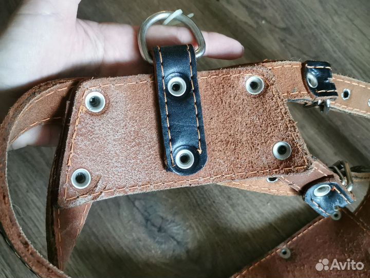 Шлейка для большой собаки кожаная