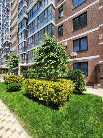 2-к. квартира, 48,2 м², 5/20 эт.