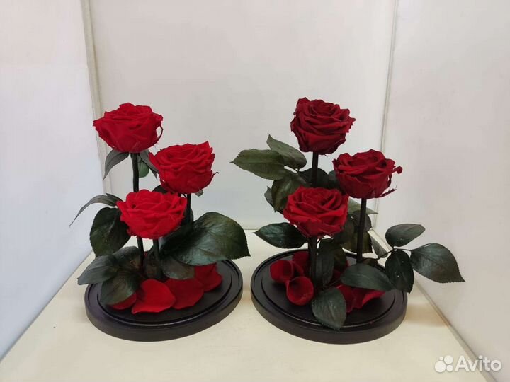 Роза в колбе