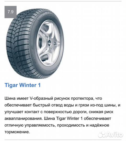 Tigar Winter 1 215/60 R16 99H