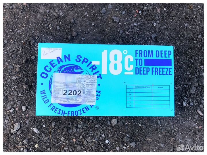 Минтай филе без кожи от 7 кг / проложенный зам