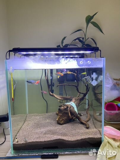 Аквариум