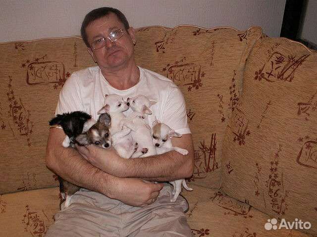 Домашняя передержка в Галицино Адлерский район