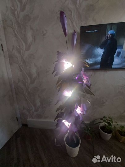 Цветок, лампа, светильник, торшер