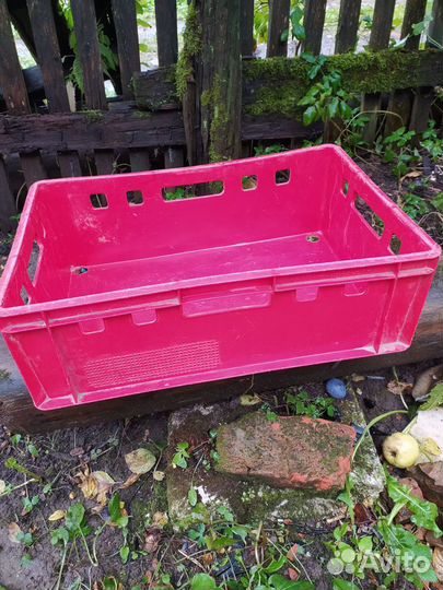 Пластиковые ящики для хранения овощей