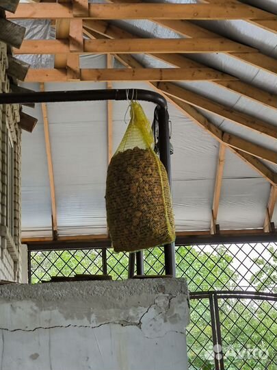 Сушеные яблоки домашние