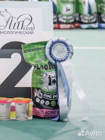 Корм для собак zooring / миски для медленного