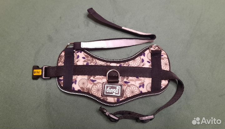 Шлейка для собаки Dingo