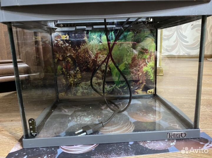 Аквариум Tetra 20 литров