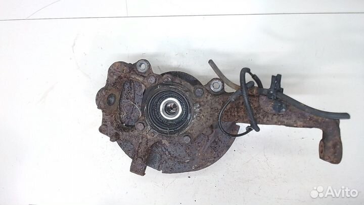 Ступица (кулак, цапфа) Ford F-150, 2009