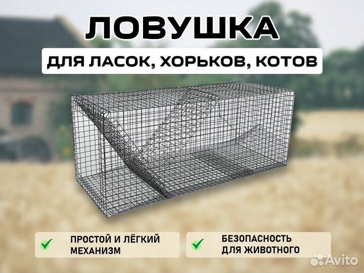 Ловушка для хорьков