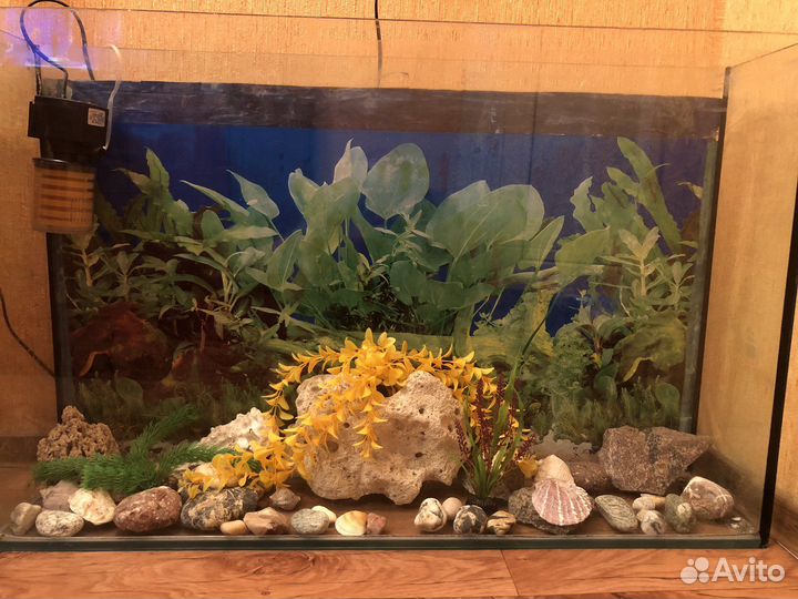 Аквариум