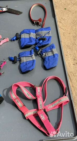 Поводки / шлейки для собак