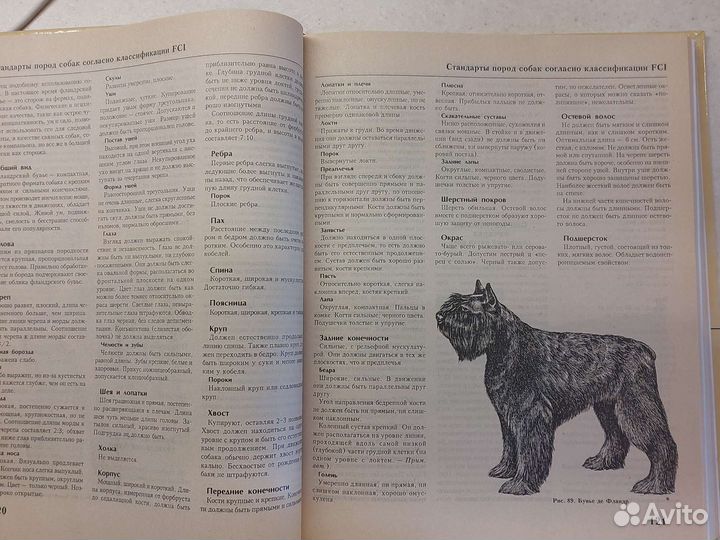 Кинологическая энциклопедия 200 пород собак