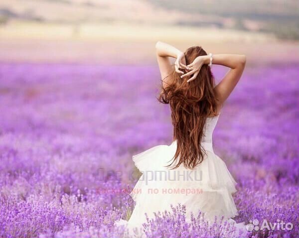 Картина по номерам 40x50 Девушка в поле лаванды