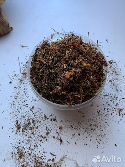 Зверобой ферментированный