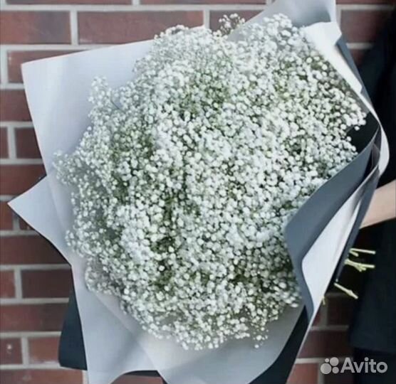 Букет из гипсофилы, цветы с доставкой букет