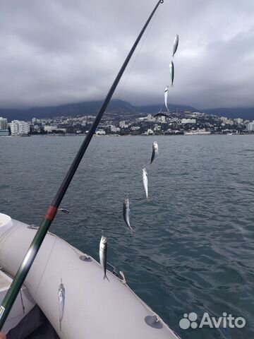 Рыбалка\Прогулки на катере