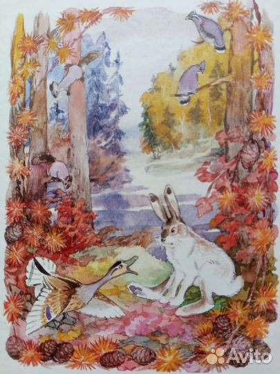 Детские книги. Интересный типографский брак