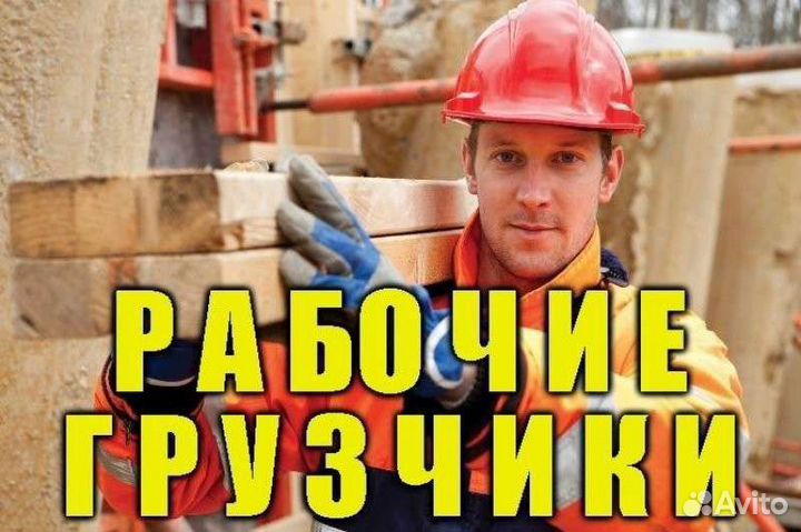 Грузчики, разнорабочие, сборщик мебели