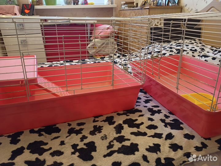 Клетка для морских свинок или кроликов